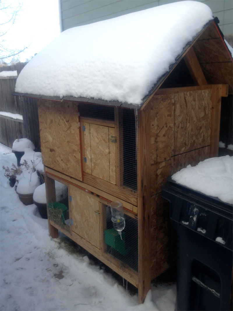 Insulated rabbit hutch clearance plans