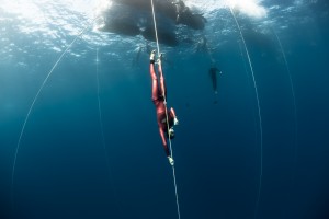 free-diving-1