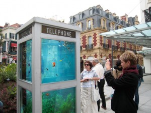 phonebooth-aquarium-benedetto-bufalino-2