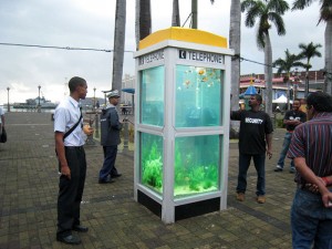 phonebooth-aquarium-benedetto-bufalino-4