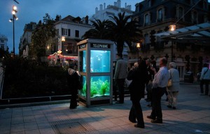 phonebooth-aquarium-benedetto-bufalino-5