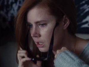 nocturnal animals explained